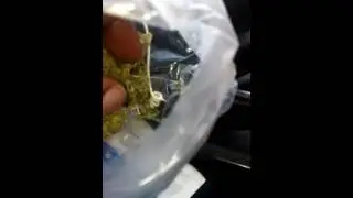 Nice tight buds fla⛽⛽👽nycd
