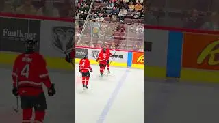 beautiful wraparound  #hockeyedit #nhl #bauerhockey #hockeyhighlights #hockeyclips #fischlerfilms