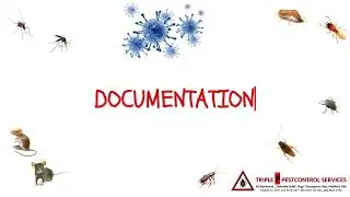 Pest Control Provider that provides good quality service