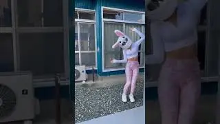 Finally restocked bunny helmet covers! Clip by @drikusuda #shorts