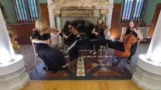 Strings4u | String Quartet | Surrey
