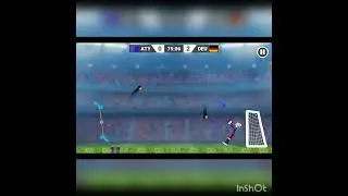 Germany wins the world cup#worldcup #marble #soccer