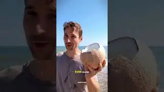 The Rare Coconut That Doesn&rsquo;t Have Water! #Coconut #Macapuno #RareFacts #FoodMystery #WeirdFacts