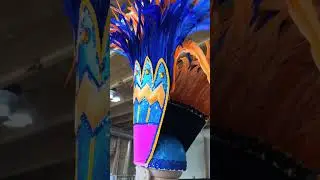 Philadelphia Mummers Parade