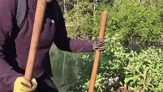 Louis Bacon Environmental Leadership Fellows- South Florida Field Experience
