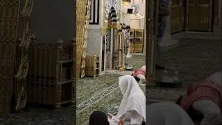 #rozaerasool