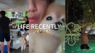 A weekend in my life VLOG || Life update! #vlog #teenager #dailyvlog 