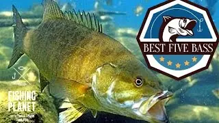 🎣Fishing Planet 🔥Best Five Bass Competition 2025