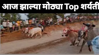आज मैदानात झाल्या मोठ्या Top च्या शर्यती #viralvideo #agrikoli #bailgada #mathur1001 #p3live #sonya 