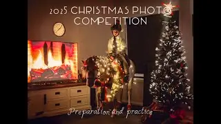 2025 Christmas photo competition - &ldquo;pony in the house&rdquo;
