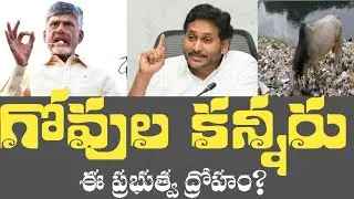 గోవుల కన్నీరు: కూటమి ప్రభుత్వ ద్రోహం | Andhra Pradesh Political Expos&eacute;#trending #viralvideo #jagan