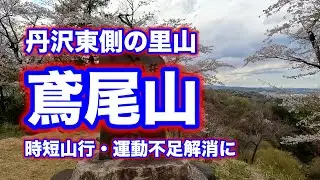 穴場な里山 丹沢東部 鳶尾山