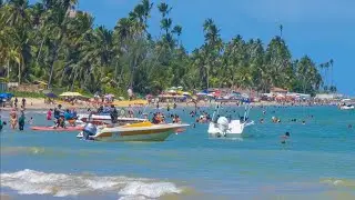 Maragogi Praia De Peroba Férias De Janeiro Praia Movimentada
