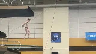 Springboard Diving - 5152b 3m - Jacob Fielding
