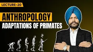 Anthropology optional UPSC mains Lecture 20 - Adaptations of Primates
