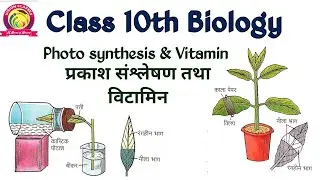 Class 10th Biology Photo synthesis and Vitamin प्रकाश संश्लेषण तथा विटामिन