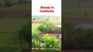 Beauty in Cambodia