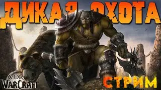 World of Warcraft 🔥НОВИЧОК ИЗУЧАЕТ НЕОБЫЧНЫЙ СПЕК - в War Within | midnight | СТРИМ WOW