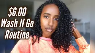 $6.00 WASH N GO ROUTINE | Natural Curly Hair