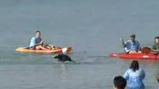 Barely Missed Swim Cutoff