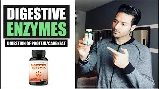 Digestive ENZYMES for Absorption of Protein/Carbs/Fats - Full info by Guru Mann