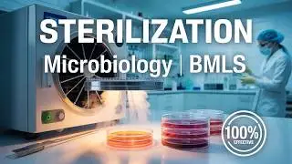 Sterilization Microbiology | Moist Heat Sterilization | Techniques & Applications