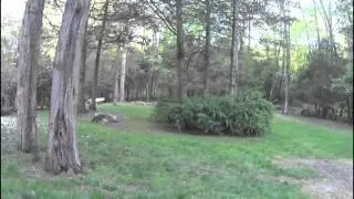 ZMR 250 Test flight w/ free fall - Sony Action Cam