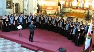 SRVHS Choir 2013 Baltics Tour: 