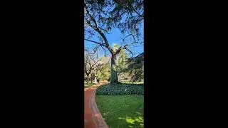 "Senderos del Jardín Botánico Carlos Tahys" Palermo