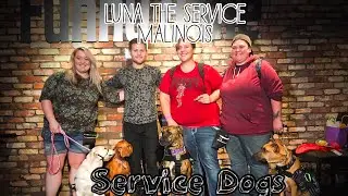 Luna meets Drew Lynch and Stella