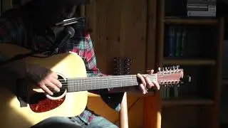 Who'll stop the rain - CCR (cover: harmonica/12 string)