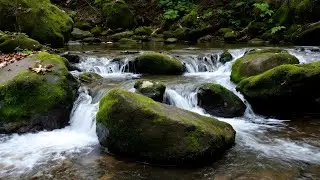 Healing Nature Sounds for Sleep &ndash; Soothing Running Water for Better Sleep