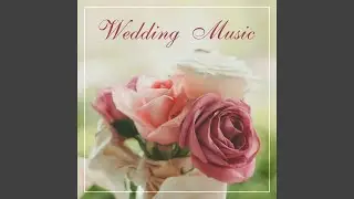 Song for Sienna