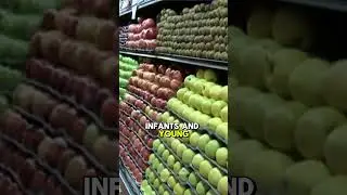 The government shutdown may delay or reduce SNAP benefits in NJ.