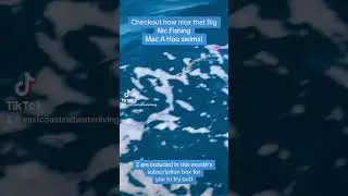 Watch Big Nic Fishing Mac A Hoo lure swim! #offshorefishing #offshorelures #fishing #fishinglures