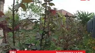 Întoarcerea la sat