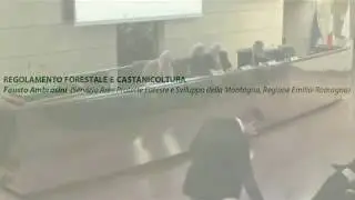08 - Fausto Ambrosini - Regolamento forestale e castanicoltura