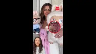 copy_4C5FEBE3-0B09-45B9-8ECE-C3E1F893AA7E.mov