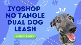 iYoShop Dual Dog Leash Review | Solve Tangle Problems with 360 Swivel No Tangle Leash