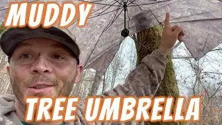 Зонт Muddy Pop-Up Tree [Обзор]