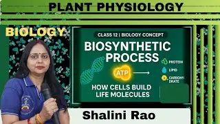 Biosynthetic Process |Class12 Bio I NEET & Board Exam Concept ICell Metabolism,Biochemistry basics