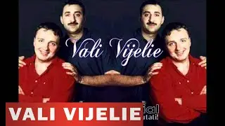 Vali Vijelie si Costi - Daca mor tu cui ramai