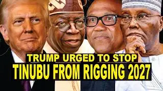 Trump Must Demand Free Elections Or Tinubu Will Bulldoze 2027 - Arnold, Odinkalu Calls No Opposition