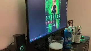 Beer Review 178 | Brewmasters Light American Lager (Walmart Bud Light)