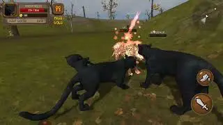Derrotei um leopardo no (Ultimate Panther Simulator)