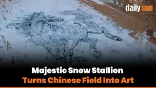 China&rsquo;s Giant Snow Horse Goes Viral Ahead of Lunar New Year | Daily Sun