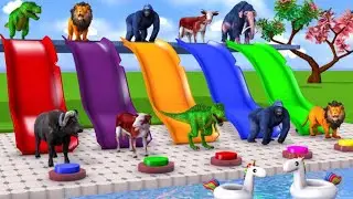 Choose The Right Button Slider Wild Animals Pool Game Cow Dinosaur Elephant Gorilla Game Funny Video