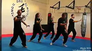Tai Chi Chuan - Shou Dao School