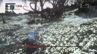 Bloodborne (Bloodlevel 4, NG+6) Moon Presence