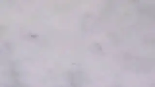 10 de julho de 2020